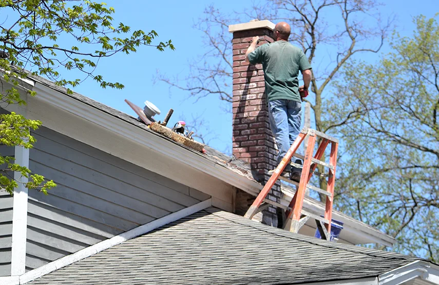 Chimney & Fireplace Inspections Services in Lorain, OH
